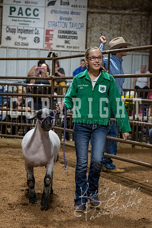 mayes_county_fair_premium_sale_2595