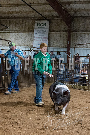 mayes_county_fair_premium_sale_2596