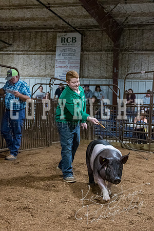 mayes_county_fair_premium_sale_2597