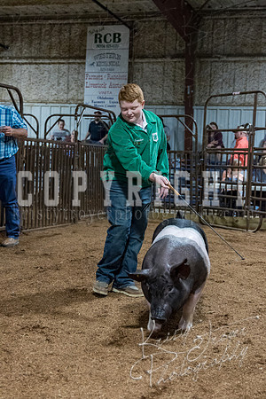 mayes_county_fair_premium_sale_2598