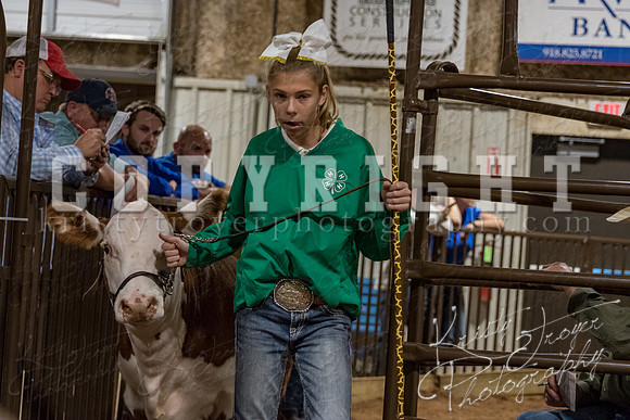 mayes_county_fair_premium_sale_2599