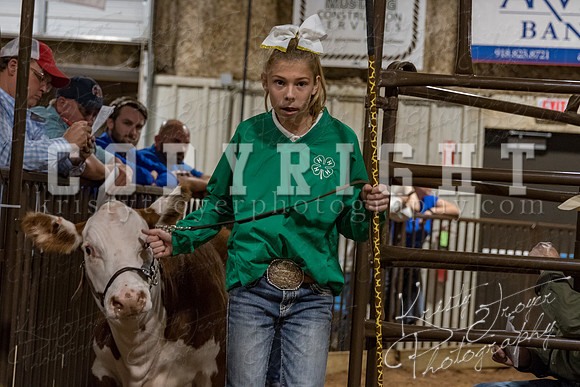 mayes_county_fair_premium_sale_2600