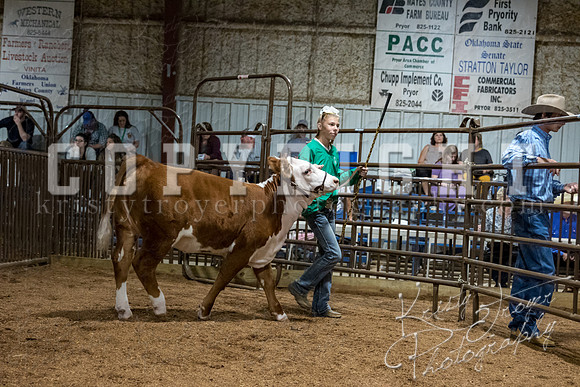 mayes_county_fair_premium_sale_2601
