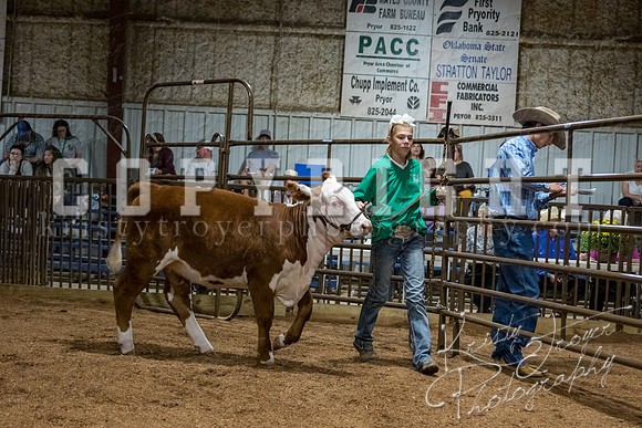 mayes_county_fair_premium_sale_2602