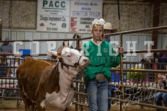 mayes_county_fair_premium_sale_2603