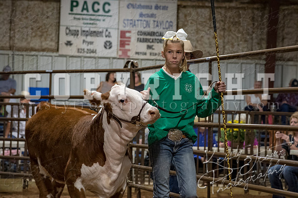 mayes_county_fair_premium_sale_2604