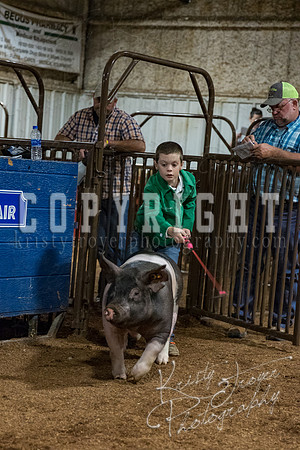 mayes_county_fair_premium_sale_2605