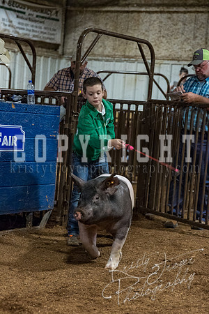 mayes_county_fair_premium_sale_2606