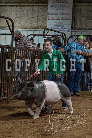 mayes_county_fair_premium_sale_2607