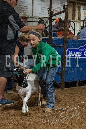 mayes_county_fair_premium_sale_2608