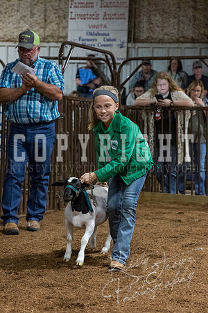 mayes_county_fair_premium_sale_2609