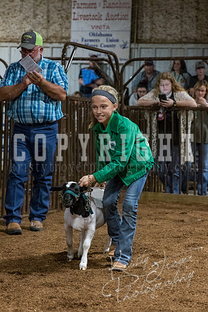 mayes_county_fair_premium_sale_2610