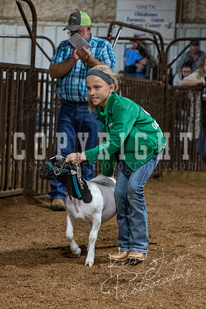 mayes_county_fair_premium_sale_2611