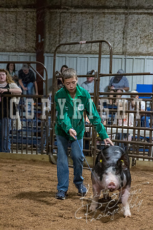 mayes_county_fair_premium_sale_2612