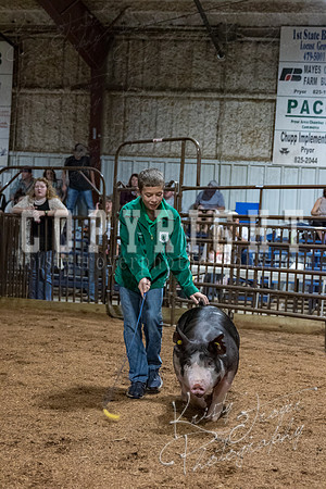 mayes_county_fair_premium_sale_2613
