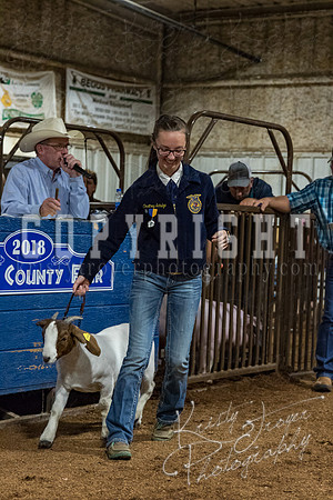 mayes_county_fair_premium_sale_2614