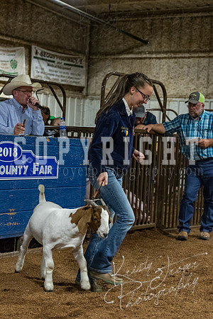 mayes_county_fair_premium_sale_2615