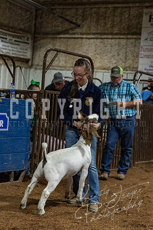 mayes_county_fair_premium_sale_2616
