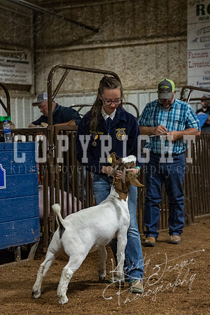 mayes_county_fair_premium_sale_2617
