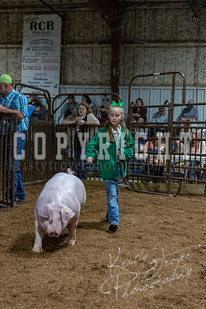 mayes_county_fair_premium_sale_2618