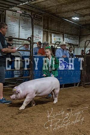mayes_county_fair_premium_sale_2619