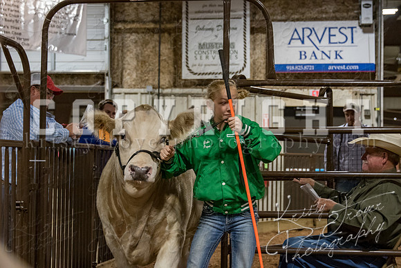 mayes_county_fair_premium_sale_2620