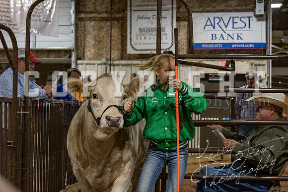 mayes_county_fair_premium_sale_2621