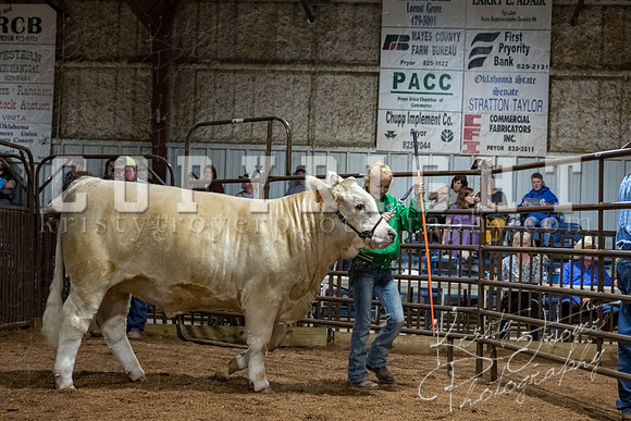 mayes_county_fair_premium_sale_2622