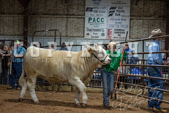 mayes_county_fair_premium_sale_2623