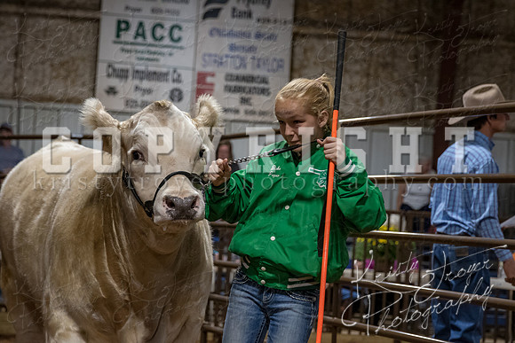 mayes_county_fair_premium_sale_2624