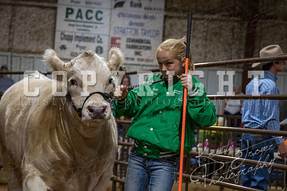 mayes_county_fair_premium_sale_2625