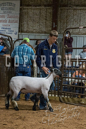 mayes_county_fair_premium_sale_2626