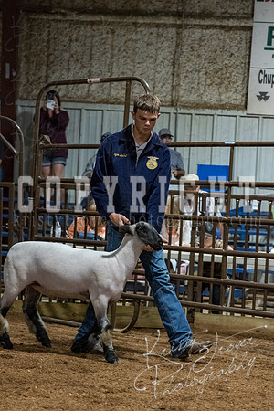 mayes_county_fair_premium_sale_2627