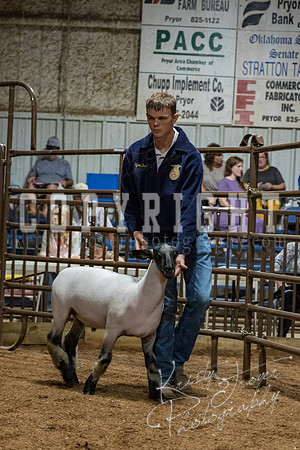 mayes_county_fair_premium_sale_2628
