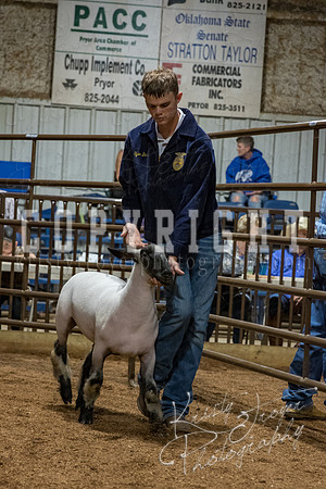 mayes_county_fair_premium_sale_2629