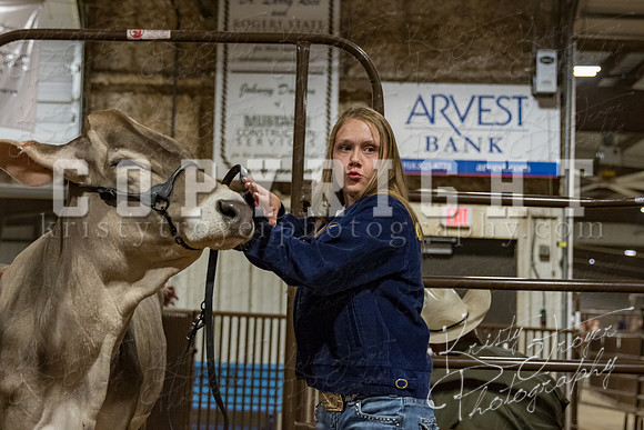 mayes_county_fair_premium_sale_2630
