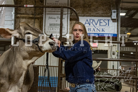 mayes_county_fair_premium_sale_2631