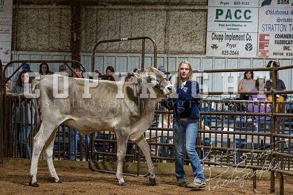 mayes_county_fair_premium_sale_2632
