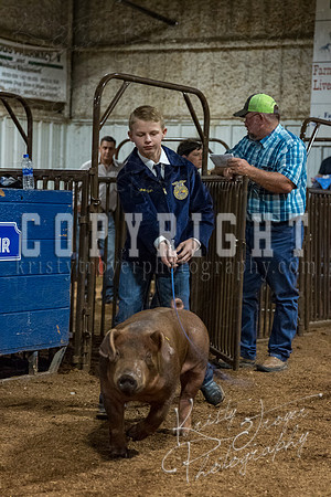 mayes_county_fair_premium_sale_2633