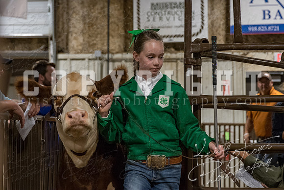 mayes_county_fair_premium_sale_2635