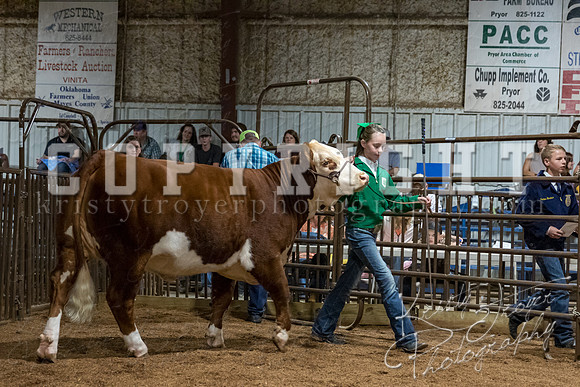mayes_county_fair_premium_sale_2636