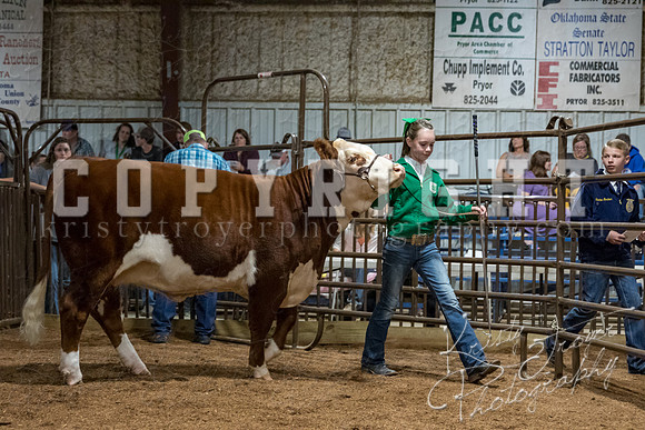 mayes_county_fair_premium_sale_2637