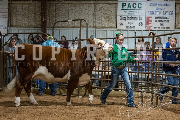 mayes_county_fair_premium_sale_2638