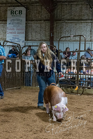 mayes_county_fair_premium_sale_2640