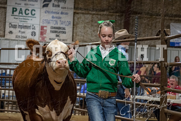 mayes_county_fair_premium_sale_2639
