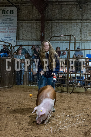 mayes_county_fair_premium_sale_2641