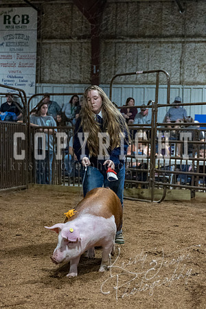 mayes_county_fair_premium_sale_2642