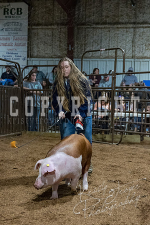 mayes_county_fair_premium_sale_2643