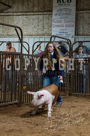 mayes_county_fair_premium_sale_2644