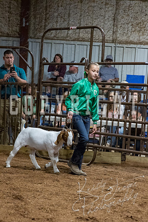 mayes_county_fair_premium_sale_2645